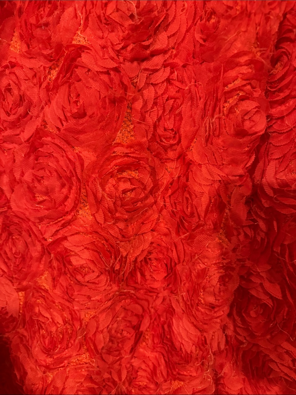 Red Rosette Textured Maxi  Skirt - Picture 8 of 9